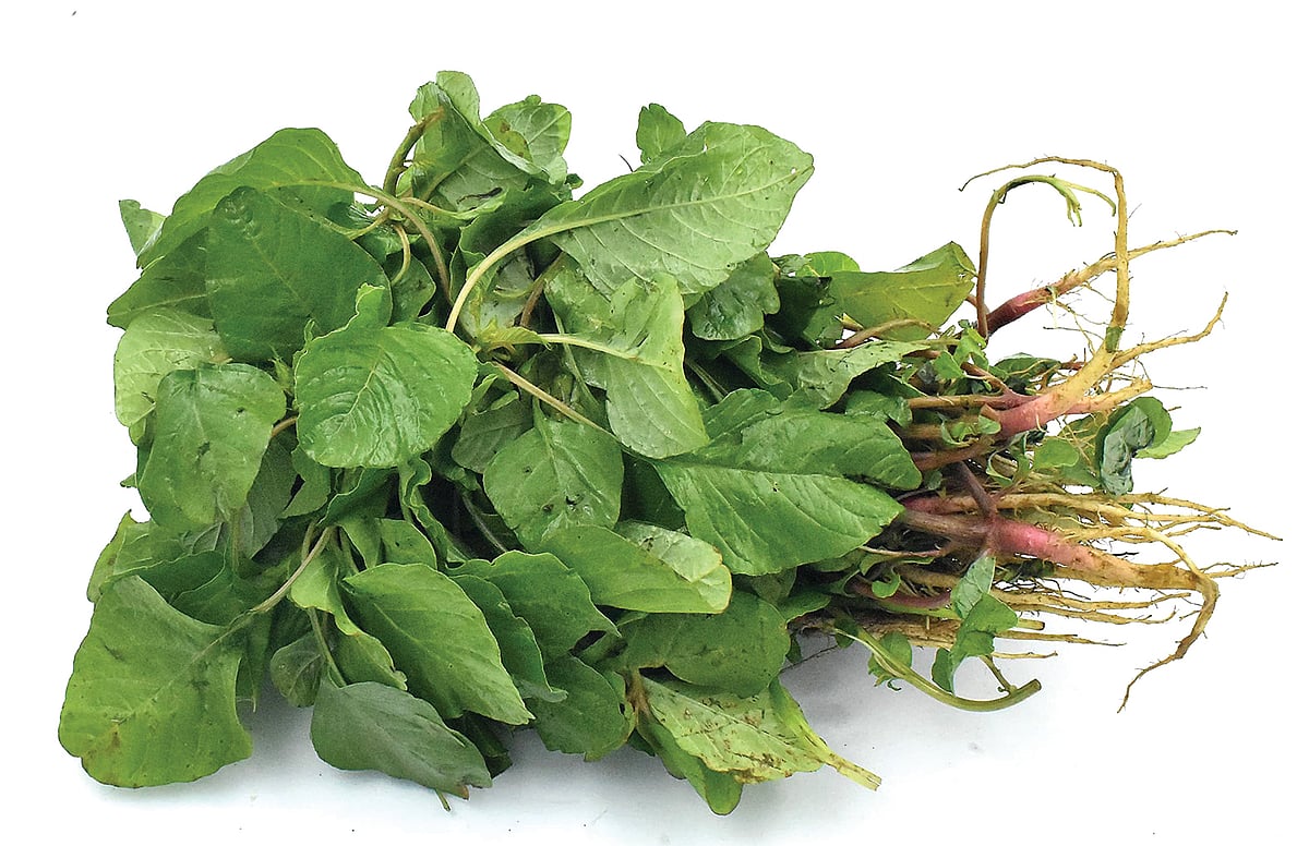 மருத்துவக் குறிப்புகள்...