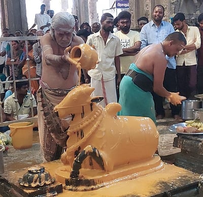 திருவானைக்கோயிலில் 
பிரதோஷ வழிபாடு