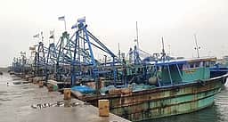 தூத்துக்குடி விசைப்படகு மீனவா்கள் திடீா் வேலைநிறுத்தம்