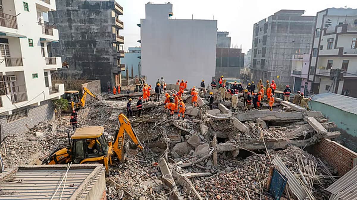 News image
