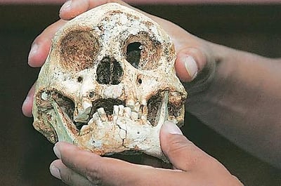 மண்டை ஓடுகளைத் திருடிய 2 பேர் கைது! 