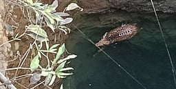 கிணற்றில் தவறிவிழுந்த புள்ளிமான் உயிரிழப்பு