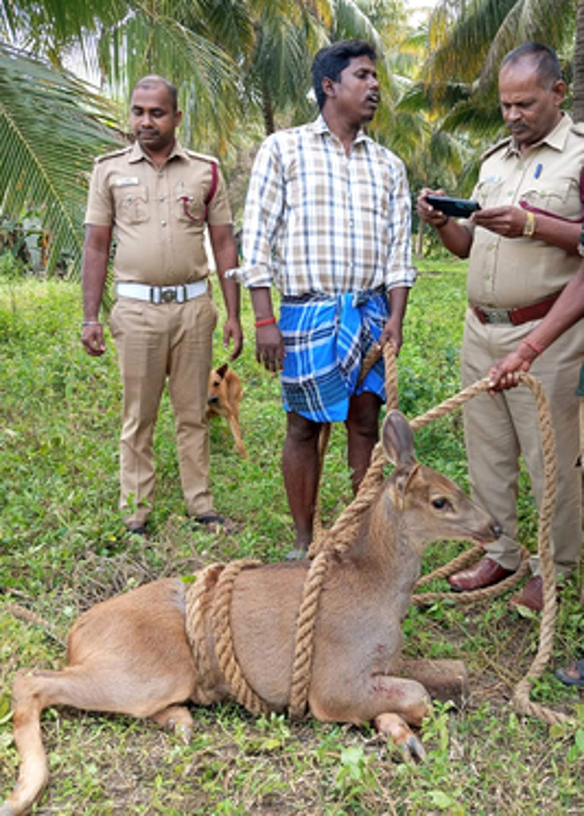 News image