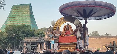 ரத சப்தமி: சூரிய பிரபை வாகனத்தில் எழுந்தருளிய வரதராஜ பெருமாள்!