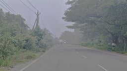 பிப்.12 வரை 13 மாவட்டங்களில் மிதமான பனிமூட்டம்!