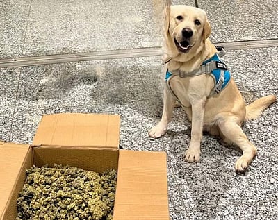 சென்னை விமான நிலையத்தில் ரூ.7 கோடி போதைப் பொருள் பறிமுதல்