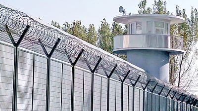 டிங் சூய்...