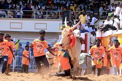 திருச்சியில் ஜல்லிக்கட்டு அரங்கம்: அடிக்கல் நாட்டினார் உதயநிதி!