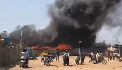 ஆந்திரம்: பறவைகள் கண்காட்சி திடலில் தீ விபத்து!