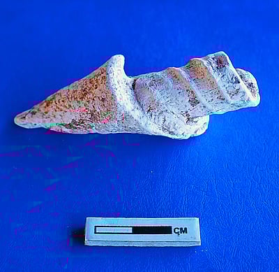 தொழில்நுட்பங்களில் தமிழர்கள்! பண்ருட்டி அகழாய்வில் சங்கினாலான பொருள் கண்டெடுப்பு!