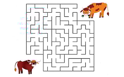 வழி காட்டுங்கள்!