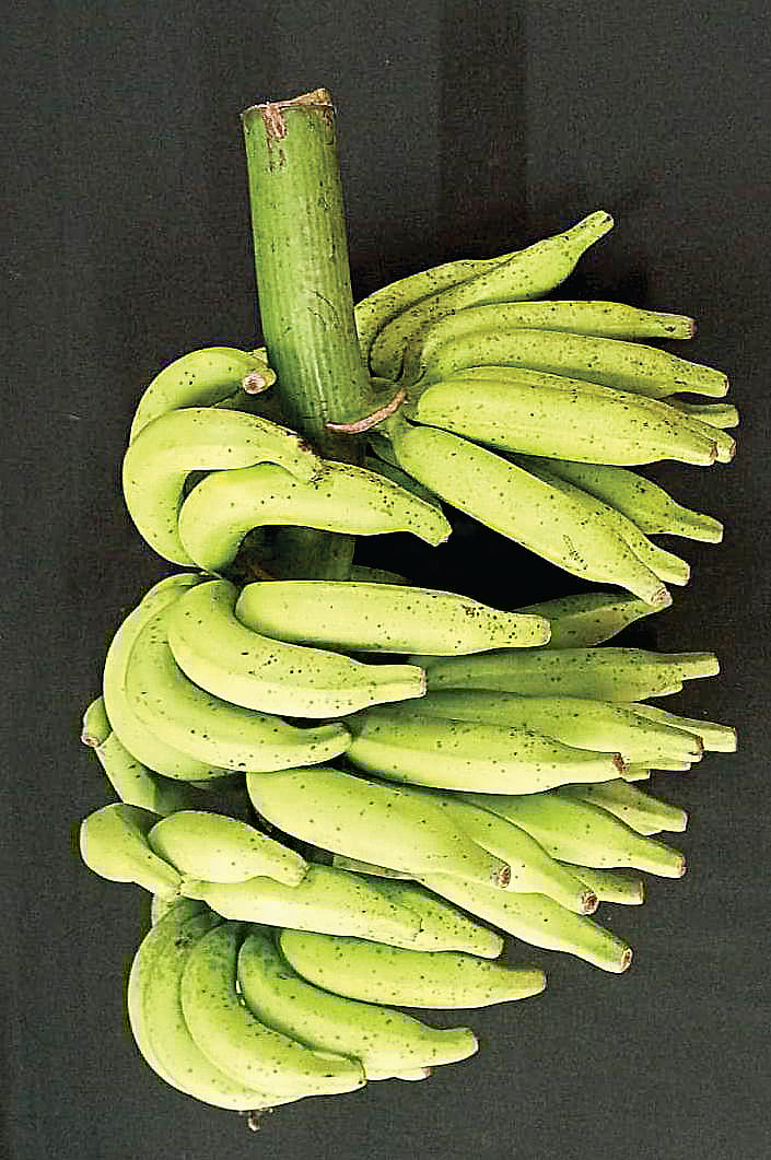 சர்க்கரை நோயாளிகளுக்கான வாழைப் பழம்!