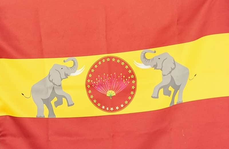 தவெக கொடி, விசில் பறிமுதல்!