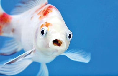 தெரியுமா?