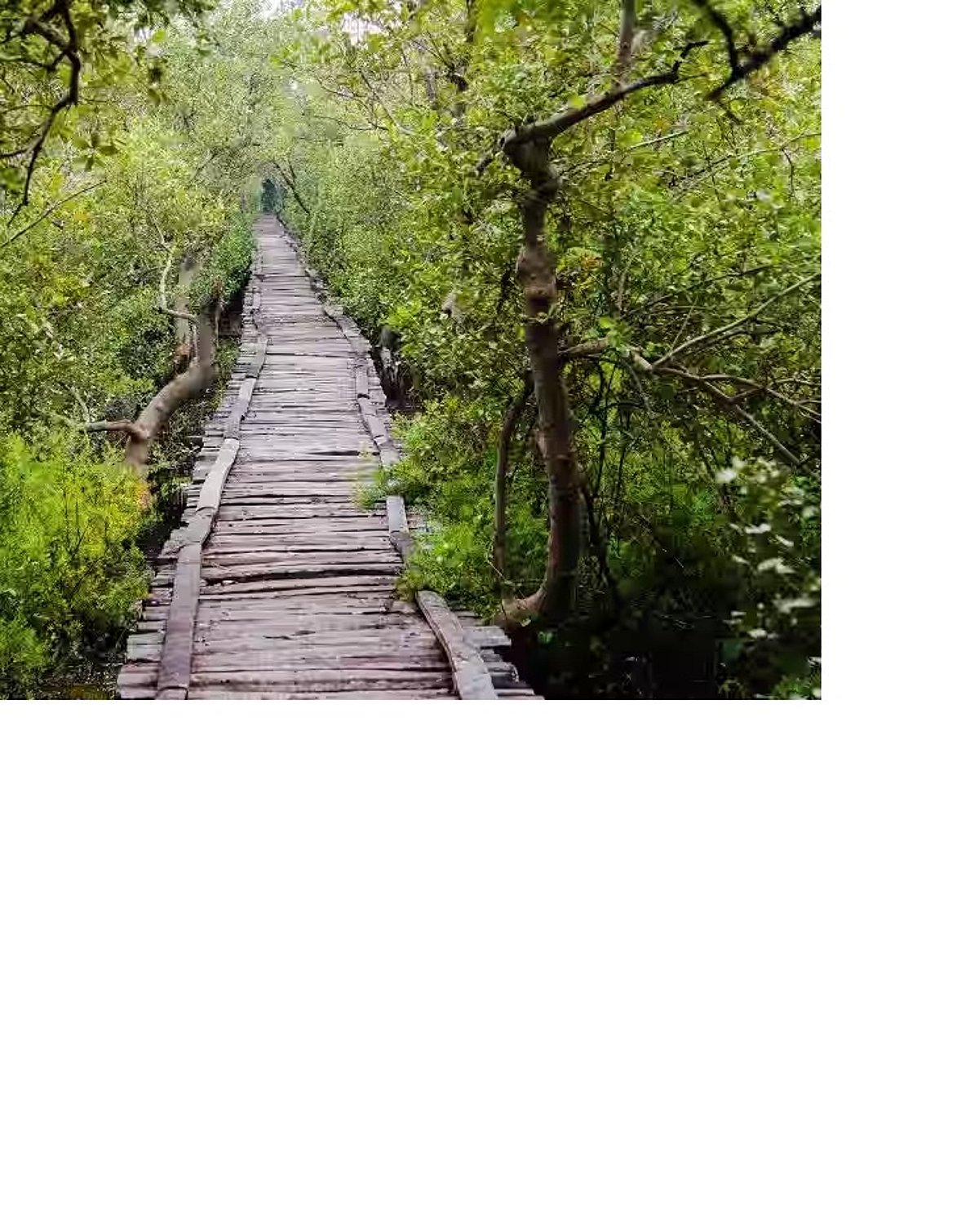 இயற்கையின் கொடை...