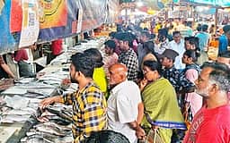 வரத்து குறைவால் வேலூரில் மீன்கள் விலை உயா்வு