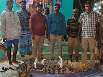 வீட்டு தோட்டத்தில் புகுந்த
முதலை பத்திரமாக மீட்பு