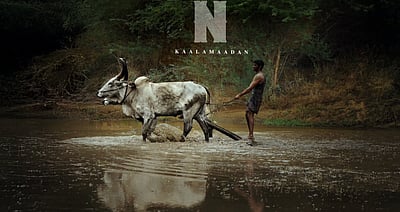 பைசன் வெளியீடு எப்போது?