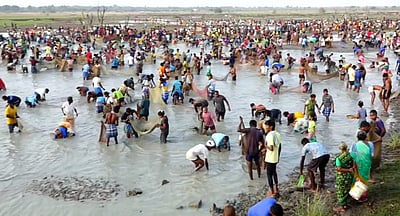 விராலிமலை மீன்பிடித் திருவிழாவில் மீன்கள் கிடைக்காததால் ஏமாற்றம் அடைந்த மக்கள்! 