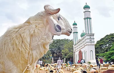 பக்ரீத் பண்டிகைக்கு ஆடுகள் பலியிடுவதைத் தவிர்க்க வேண்டும்! மக்களுக்கு அரசர் வலியுறுத்தல்! 