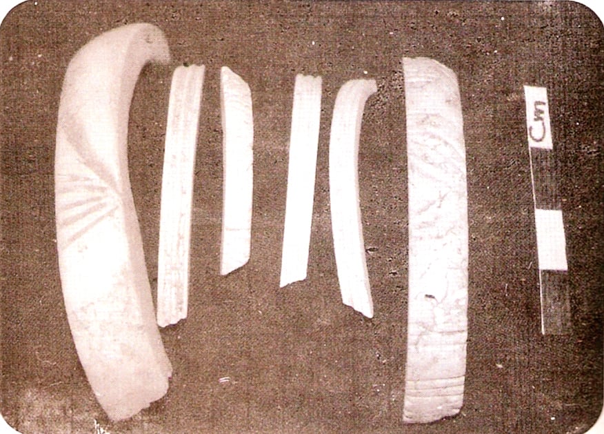 தொடி என்னும்...