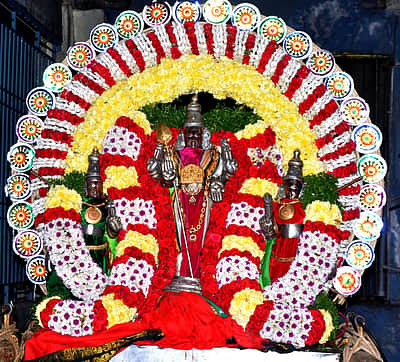 திருத்தணி முருகன் கோயிலில் மாசிப் பெருவிழா தொடக்கம்