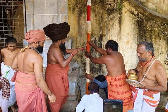 News image