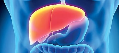 கணினி முன் வேலைபார்ப்பவரா..? கல்லீரல் பத்திரம்!!