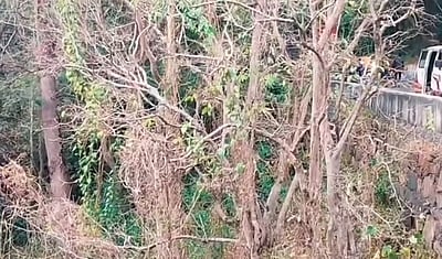 ஏற்காடு: பெண் தோழிகளுடன் இணைந்து காதலியைக் கொன்ற காதலன்! நடந்தது என்ன?