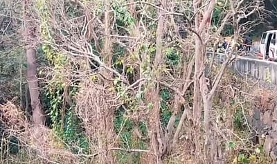 ஏற்காடு மலைப்பாதையில் அழுகிய நிலையில் பெண் சடலம்!