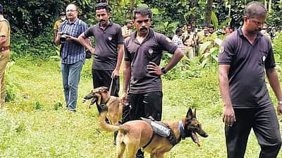 தெலங்கானா விபத்து: மீட்புப் பணியில் கேரள 'கடாவர்' நாய்கள்!