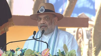 தமிழில் பொறியியல், மருத்துவம் படிப்புகள்: அமித் ஷா