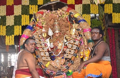 திருச்செந்தூர்: வெட்டி வேர்ச் சப்பரத்தில் காட்சியளித்த  சண்முகர்!