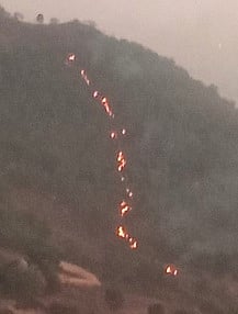 கல்புதூா் செட்டிமலைக்கு தீ வைப்பு: அரியவகை மரங்கள் எரிந்து கருகின