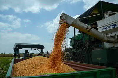 வேளாண் பொருட்களுக்கு மாநில அரசுகள் கூடுதல் விலை வழங்கக் கூடாது: மத்திய அரசுக்கு விவசாயிகள் சங்கம் கண்டனம்