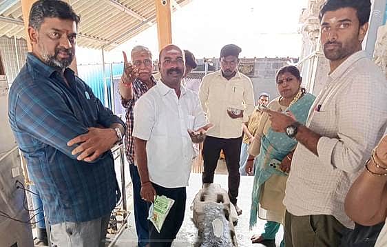 News image