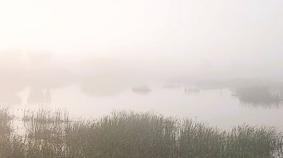 பனிப்பொழிவு: விராலிமலையில் மலைப்பிரதேசம் போல் காட்சியளித்த வயல்வெளிகள்!