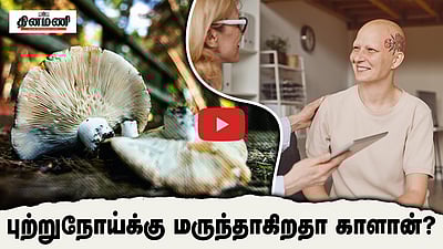 புற்றுநோயைக் குணப்படுத்தும் மேற்கு வங்க காளான்கள்? - புதிய கண்டுபிடிப்பு! | Cancer treatment 