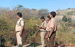 தேனி மாவட்ட வனப் பகுதிகளில் 
பிப்.14, 15-இல் பறவைகள் கணக்கெடுப்பு