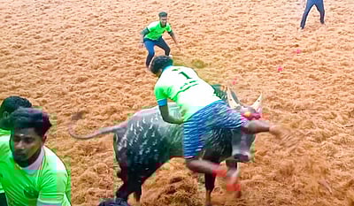 பெரிய குரும்பப்பட்டி காயாம்பு அய்யனார் கோயில் ஜல்லிக்கட்டு!