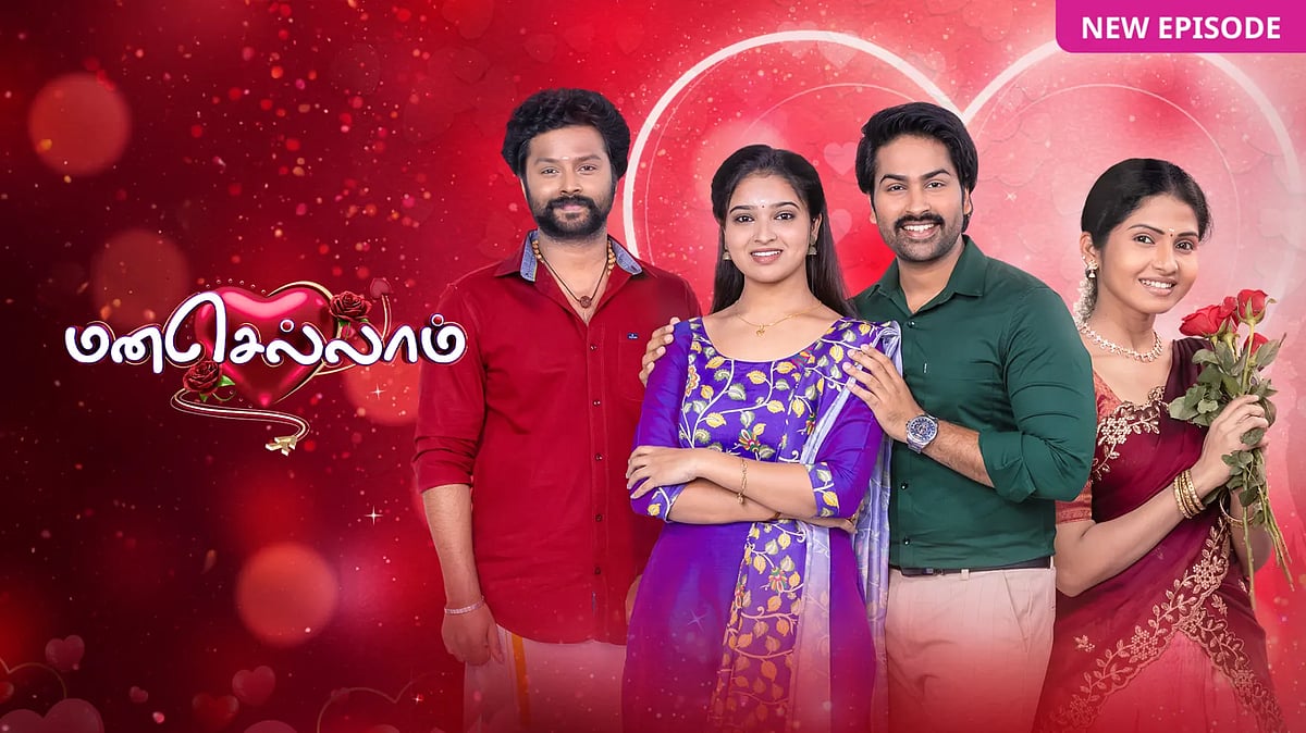 மனசெல்லாம் தொடர்
