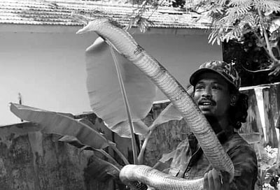 கோவையில் பாம்பு பிடி வீரர் உயிரிழப்பு