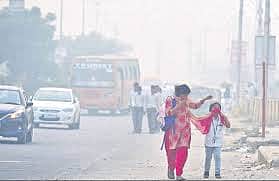 மாசில்லாத காற்று... நோயில்லாத வாழ்வு!