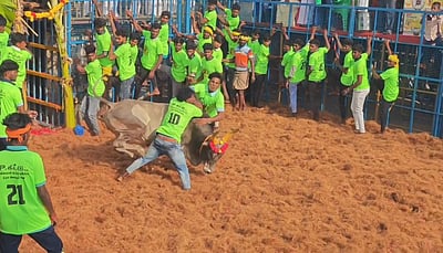 விராலிமலை கீழக்குறிச்சி ஜல்லிக்கட்டுப் போட்டி: 5 வீரர்கள் காயம்!