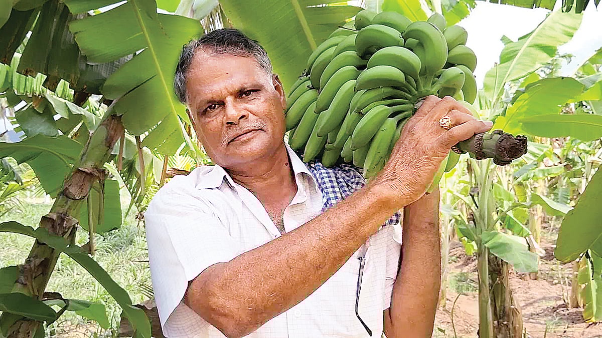 துல்லிய விவசாயம்..