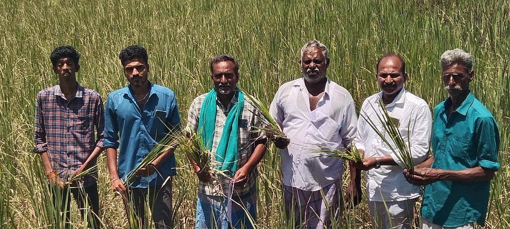 எதிர்பார்ப்பில் விவசாயிகள்