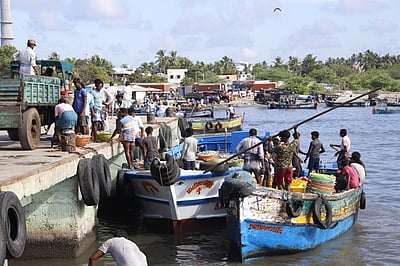 10 ஆண்டுகளில் இலங்கை சிறையிலிருந்து 3,697 இந்திய மீனவா்கள் மீட்பு: மத்திய அரசு