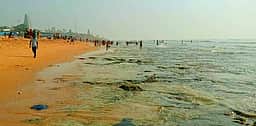 திருச்செந்தூரில் உள்வாங்கிய கடல்!