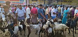 மட்றப்பள்ளி வாரச் சந்தையில் ரூ. 65 லட்சத்துக்கு வா்த்தகம்