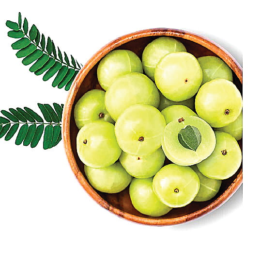 வாயு தொந்தரவால் அவதியா?